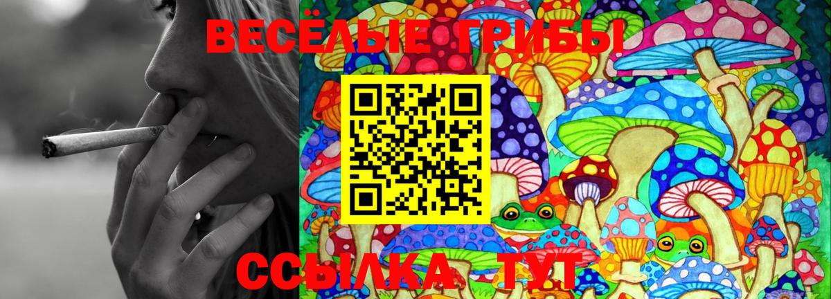 Галлюциногенные грибы мицелий Семилуки